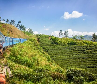 Nuwara Eliya - Visit Srilanka